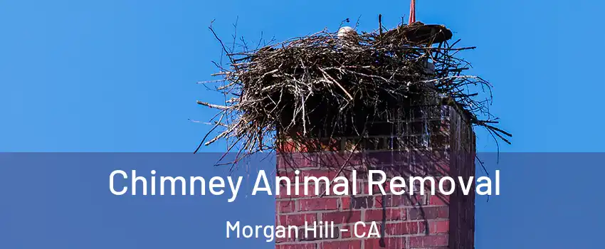  Chimney Animal Removal Morgan Hill - CA