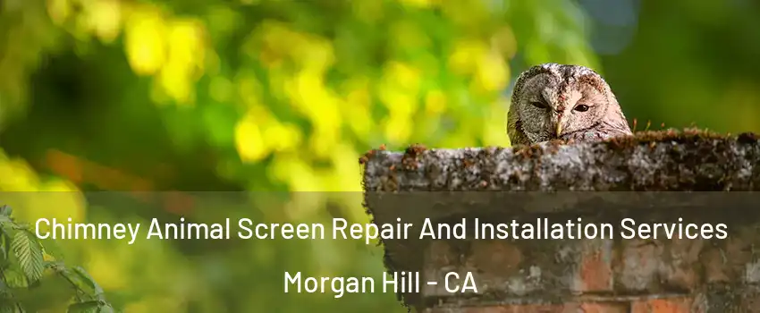  Chimney Animal Screen Repair And Installation Services Morgan Hill - CA