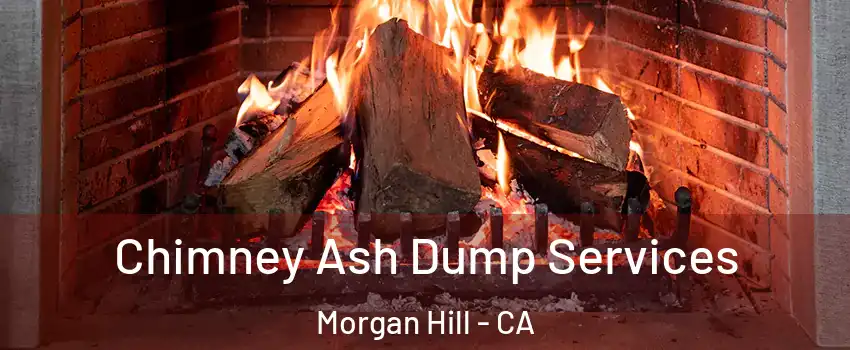 Chimney Ash Dump Services Morgan Hill - CA