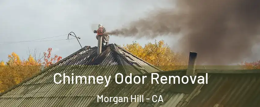  Chimney Odor Removal Morgan Hill - CA