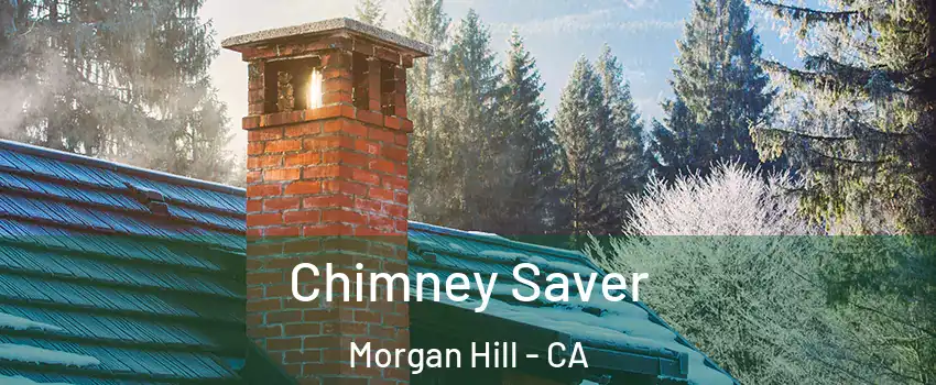  Chimney Saver Morgan Hill - CA