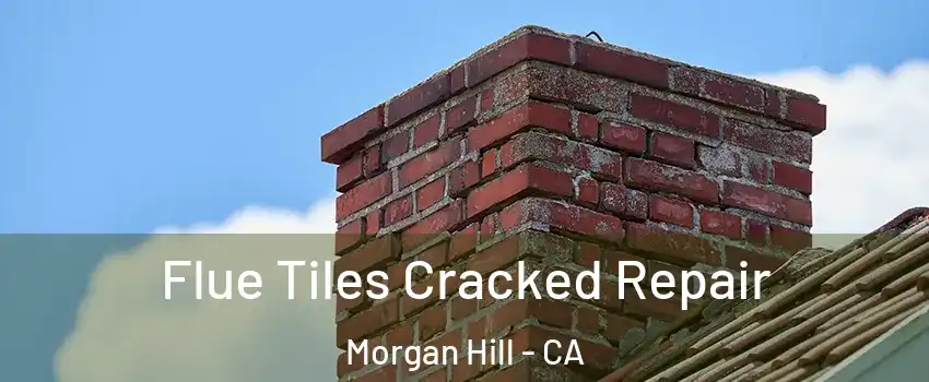  Flue Tiles Cracked Repair Morgan Hill - CA