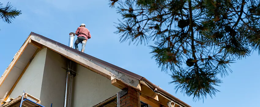 Birds Removal Contractors from Chimney in Morgan Hill, CA