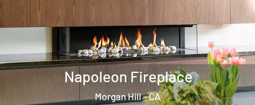  Napoleon Fireplace Morgan Hill - CA