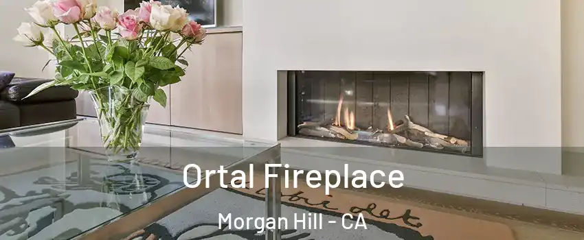  Ortal Fireplace Morgan Hill - CA