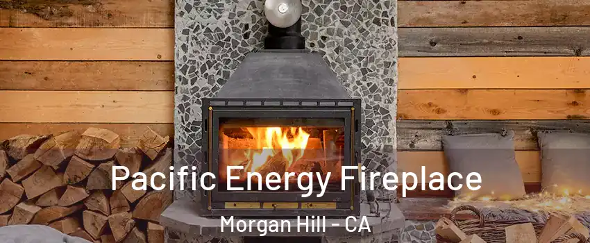  Pacific Energy Fireplace Morgan Hill - CA